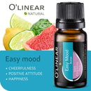 Top 6 Blends Essential Oils Set - Aromatherapy Diffuser Blends Oils for Sleep, Mood, Breathe, Temptation, Feel Good, Anxiety Relief
