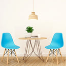 Set of 2 Mid Century Modern DSW Dining Side Chair